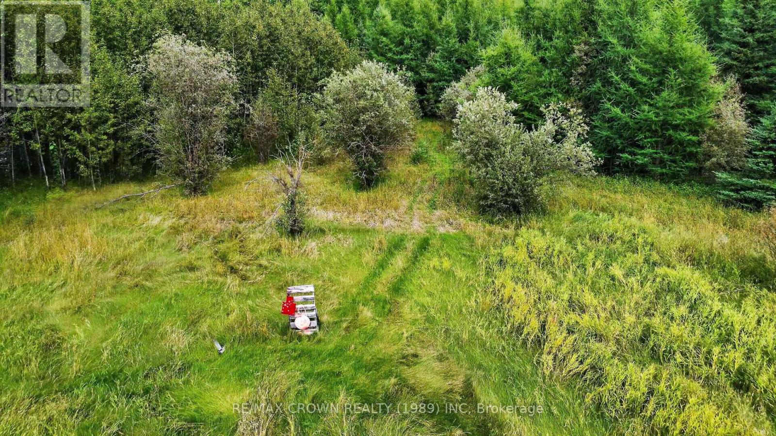 Lot 1 Conc 10 Concession, Cochrane Remote Area, Ontario  P0L 1L0 - Photo 17 - T13773628