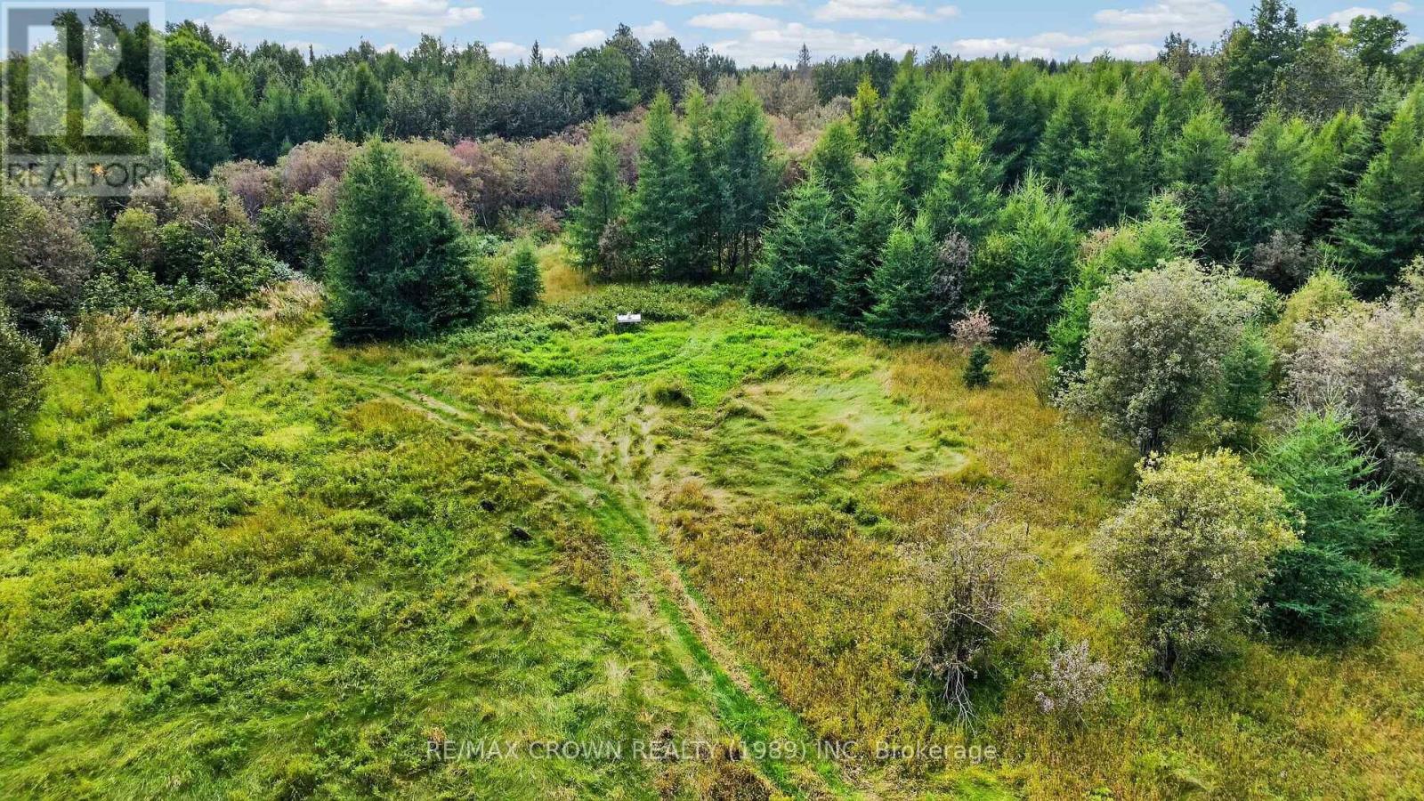 Lot 1 Conc 10 Concession, Cochrane Remote Area, Ontario  P0L 1L0 - Photo 18 - T13773628