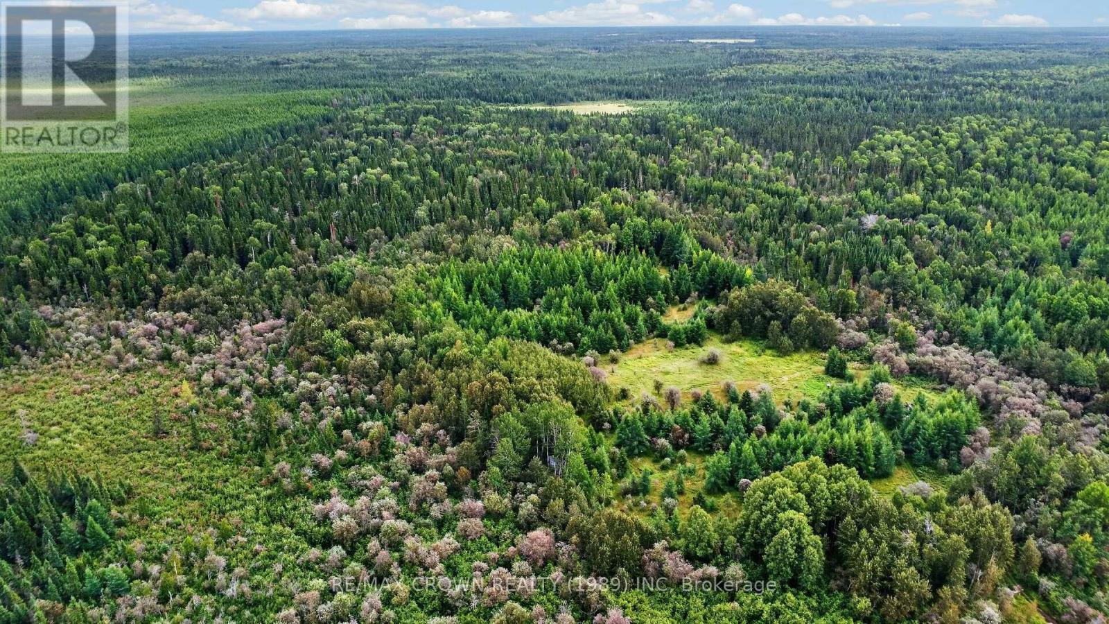 Lot 1 Conc 10 Concession, Cochrane Remote Area, Ontario  P0L 1L0 - Photo 2 - T13773628