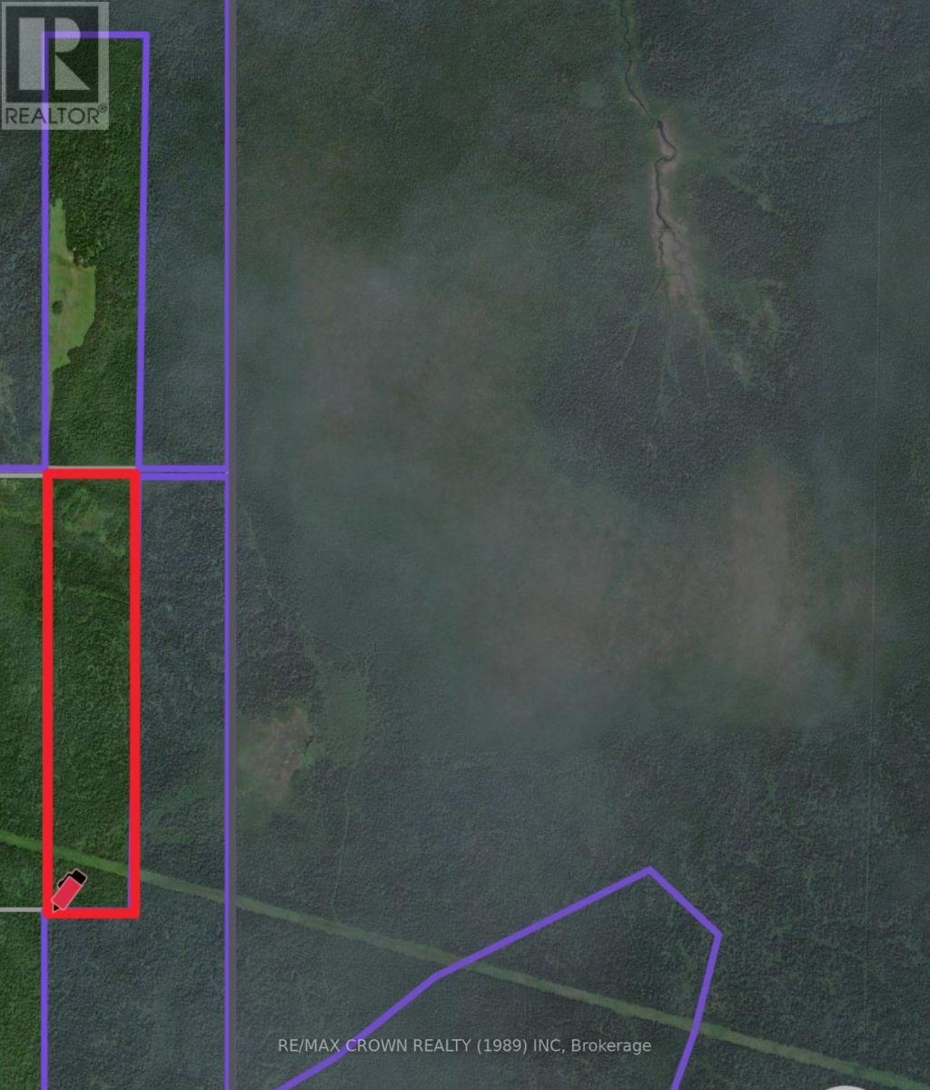 Lot 1 Conc 10 Concession, Cochrane Remote Area, Ontario  P0L 1L0 - Photo 20 - T13773628