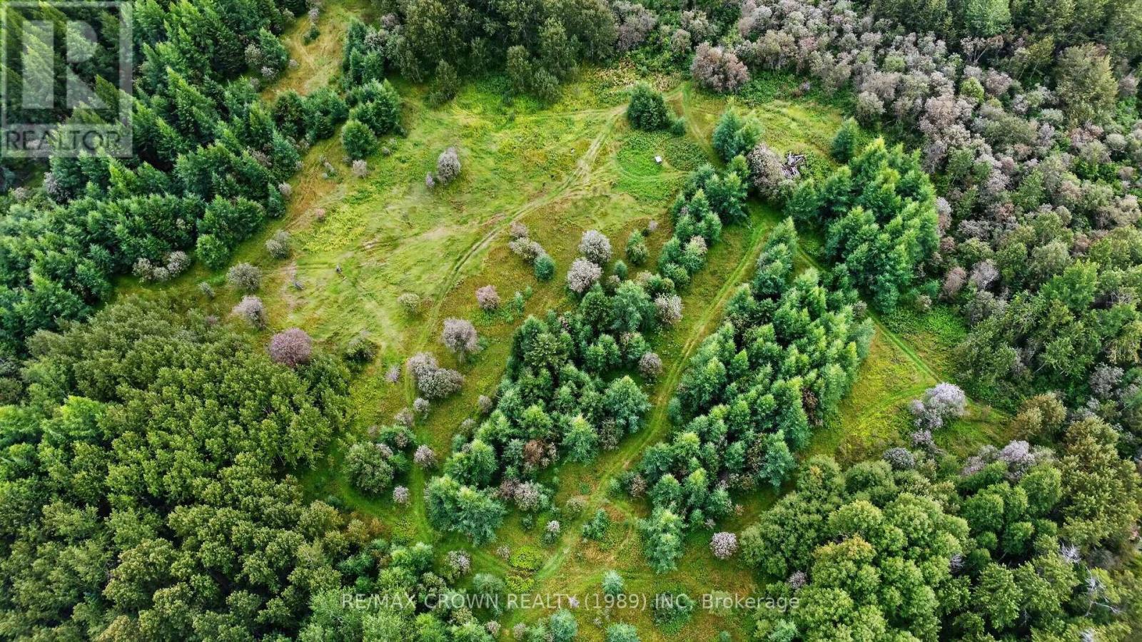 Lot 1 Conc 10 Concession, Cochrane Remote Area, Ontario  P0L 1L0 - Photo 4 - T13773628