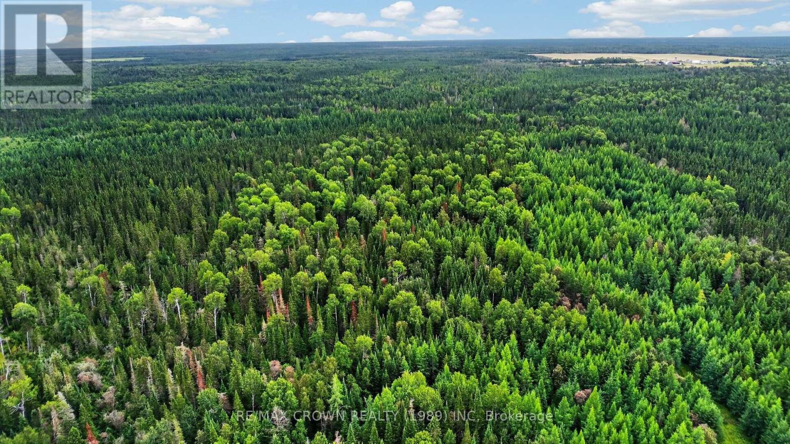 Lot 1 Conc 10 Concession, Cochrane Remote Area, Ontario  P0L 1L0 - Photo 6 - T13773628