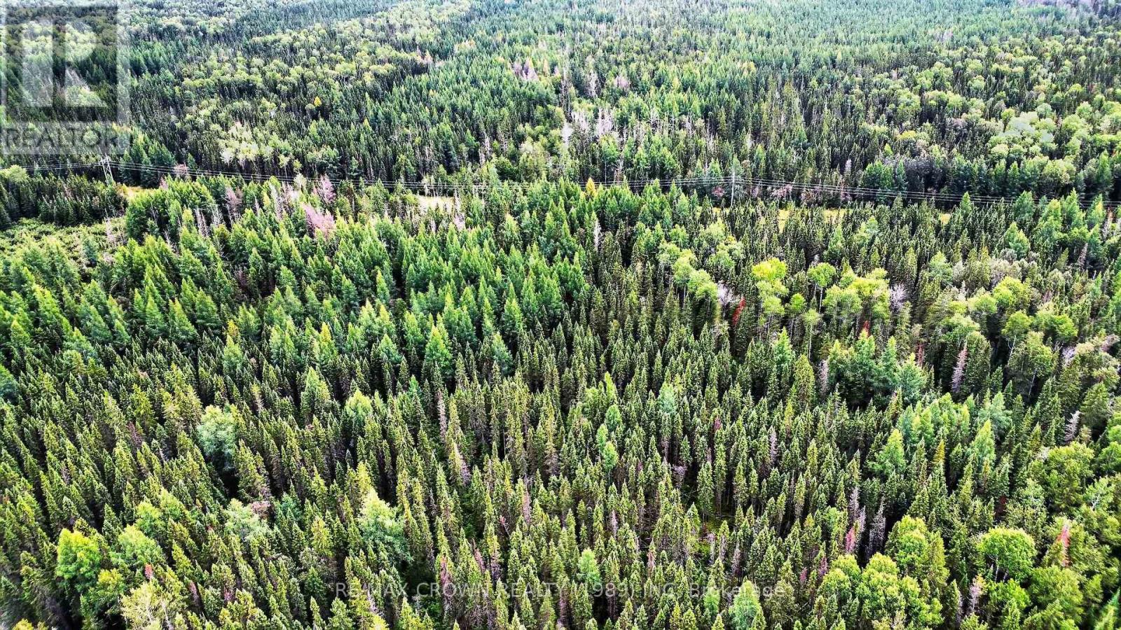 Lot 1 Conc 10 Concession, Cochrane Remote Area, Ontario  P0L 1L0 - Photo 7 - T13773628