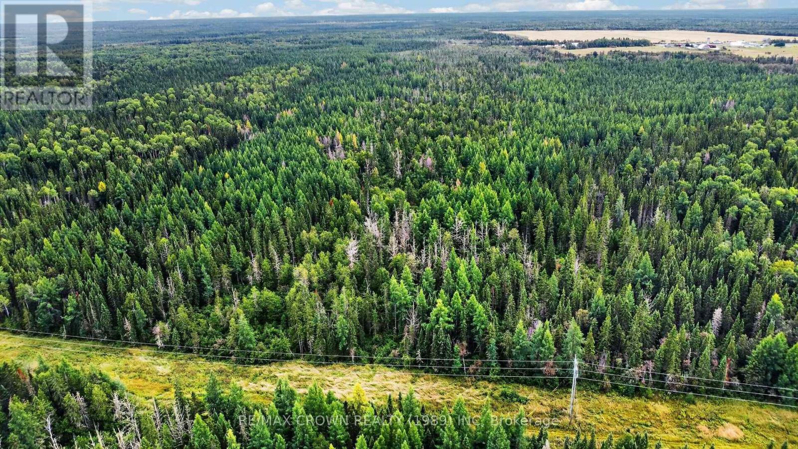 Lot 1 Conc 10 Concession, Cochrane Remote Area, Ontario  P0L 1L0 - Photo 8 - T13773628