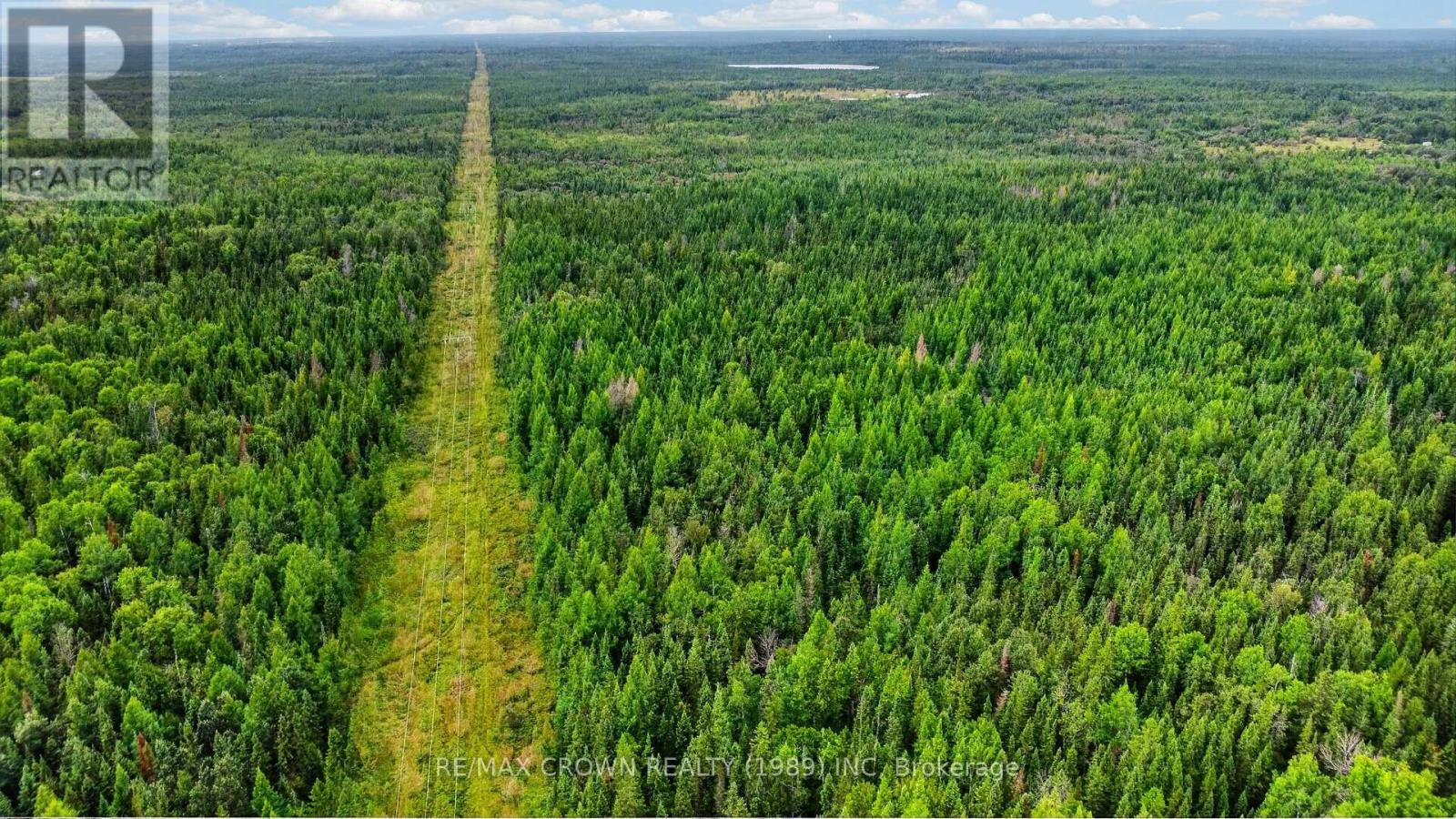 Lot 1 Conc 10 Concession, Cochrane Remote Area, Ontario  P0L 1L0 - Photo 9 - T13773628