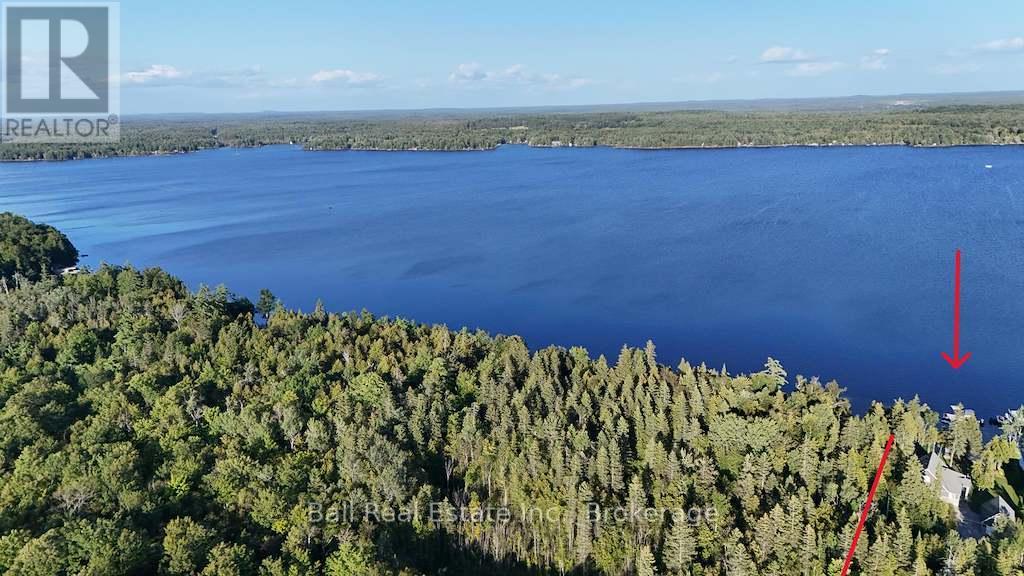 31 Beaver Drive, Kawartha Lakes, Ontario  K0M 1K0 - Photo 37 - X13714890