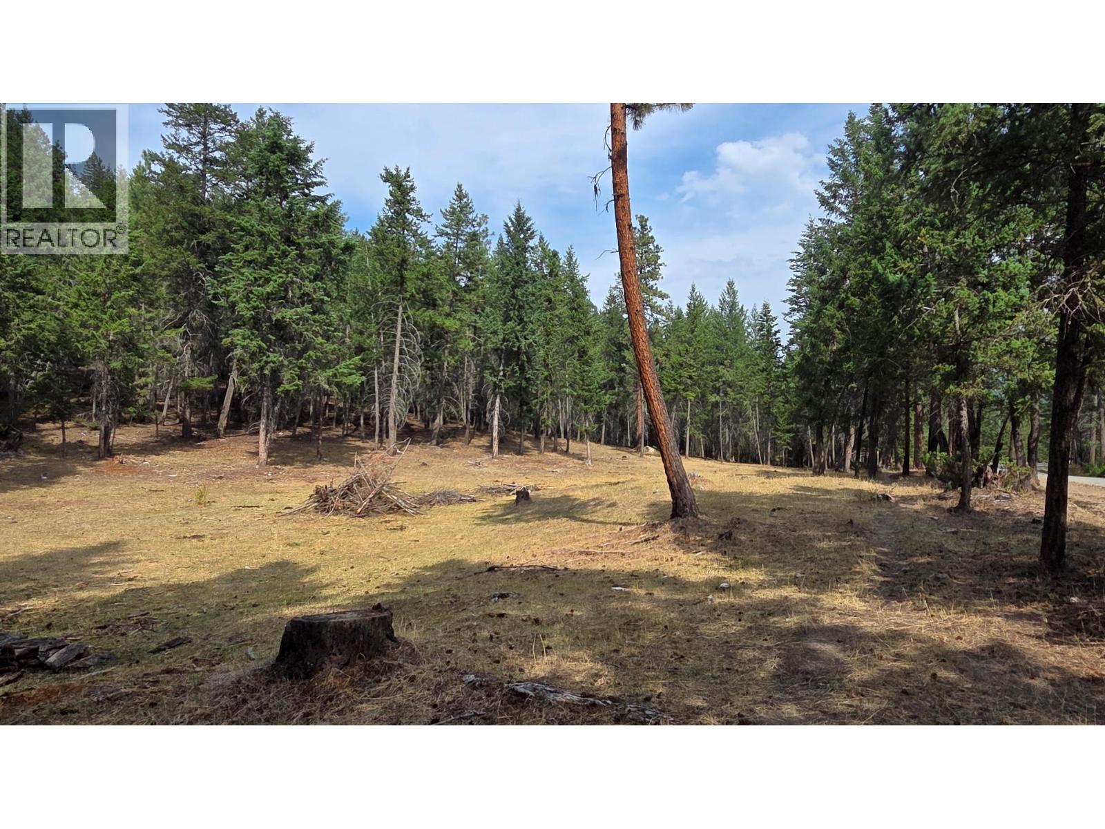 3410 Simon Road, Skookumchuck, British Columbia V0B 2E0 - Photo 15 - 10399562