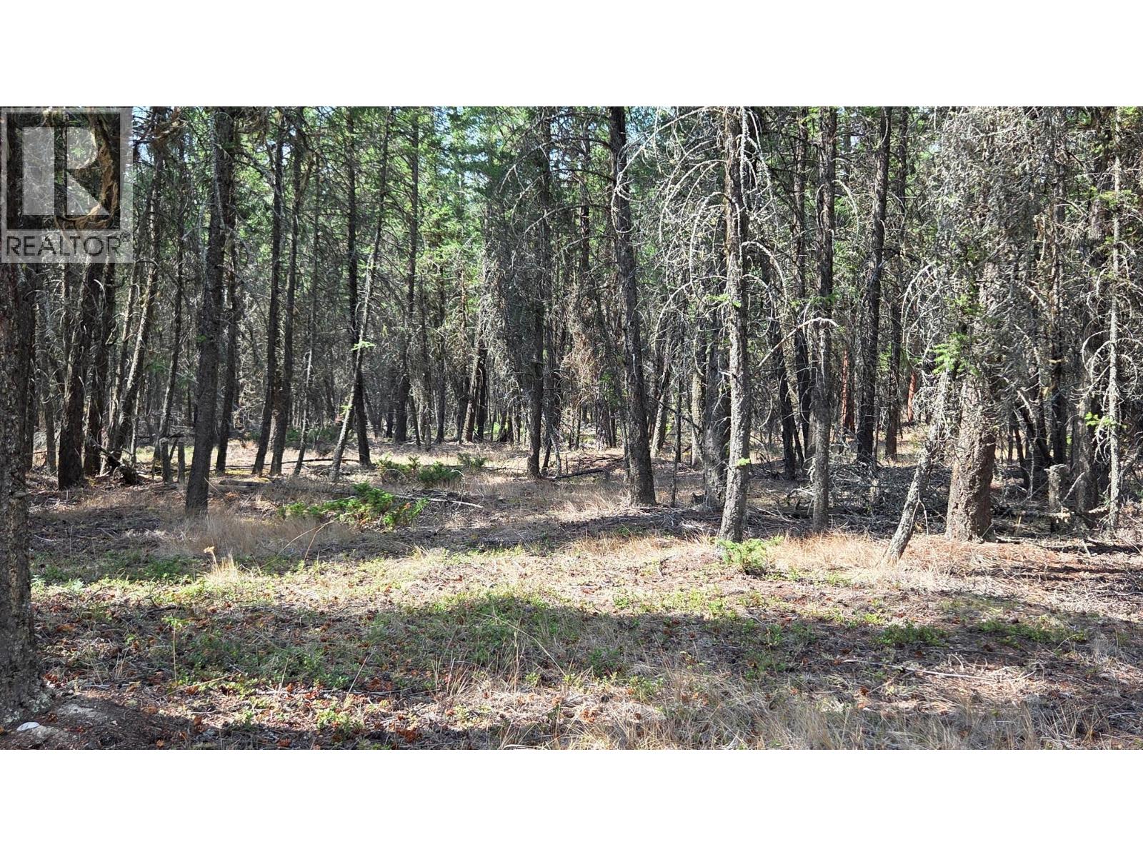 3410 Simon Road, Skookumchuck, British Columbia V0B 2E0 - Photo 17 - 10399562