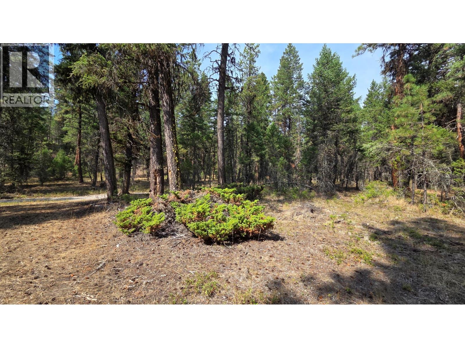 3410 Simon Road, Skookumchuck, British Columbia V0B 2E0 - Photo 13 - 10399562