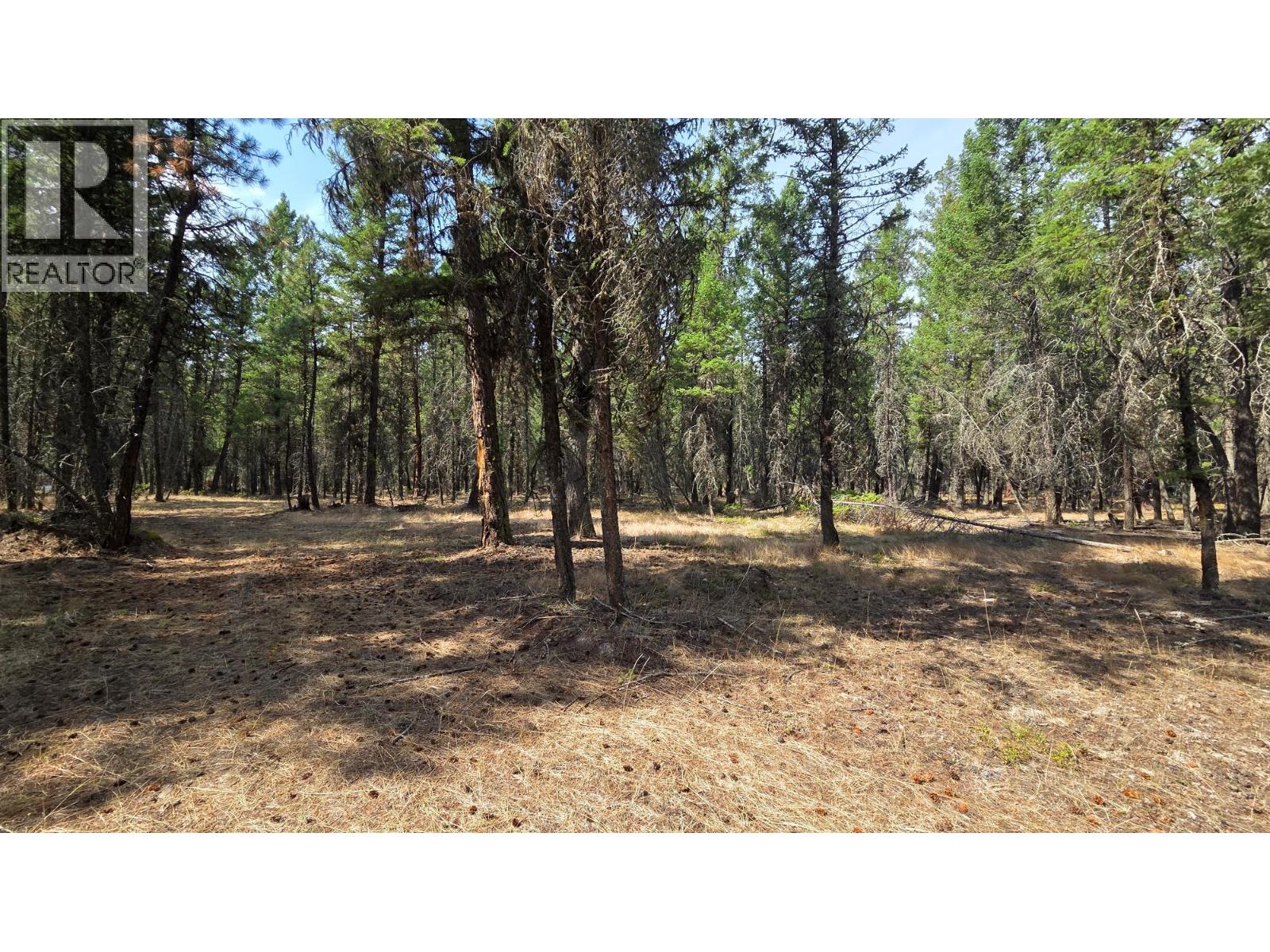 3410 Simon Road, Skookumchuck, British Columbia V0B 2E0 - Photo 14 - 10399562
