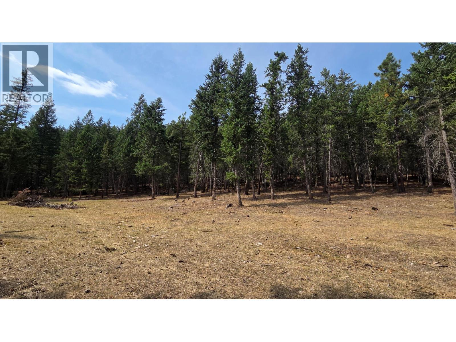 3410 Simon Road, Skookumchuck, British Columbia V0B 2E0 - Photo 18 - 10399562
