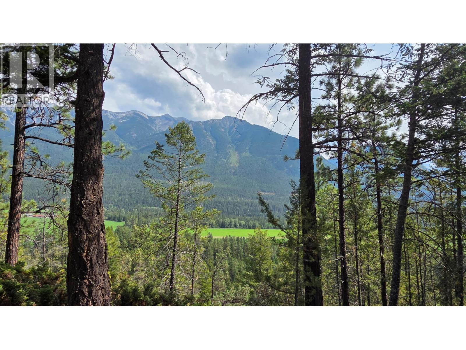 3410 Simon Road, Skookumchuck, British Columbia V0B 2E0 - Photo 4 - 10399562