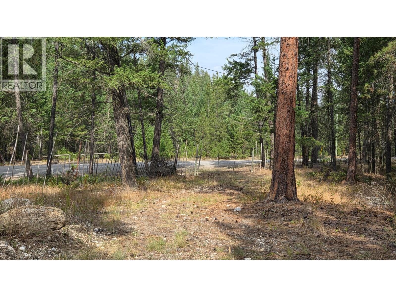 3410 Simon Road, Skookumchuck, British Columbia V0B 2E0 - Photo 12 - 10399562