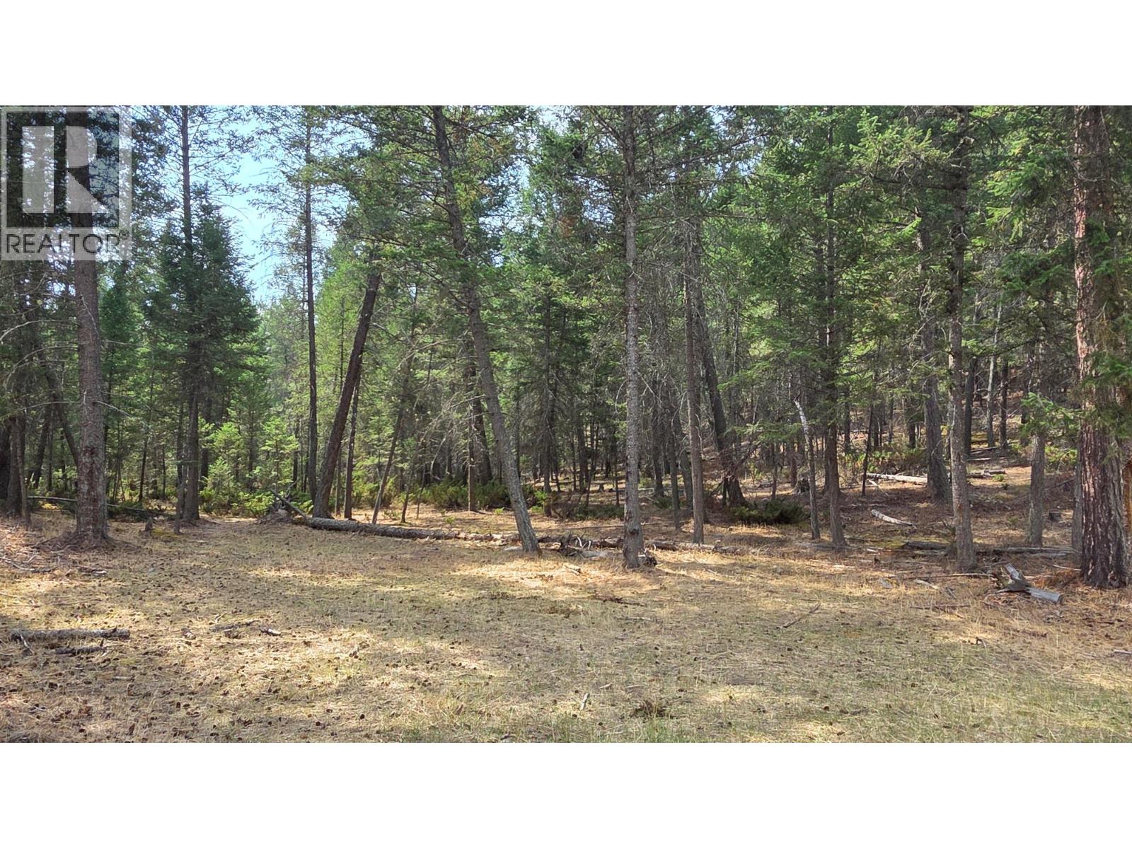 3410 Simon Road, Skookumchuck, British Columbia V0B 2E0 - Photo 16 - 10399562
