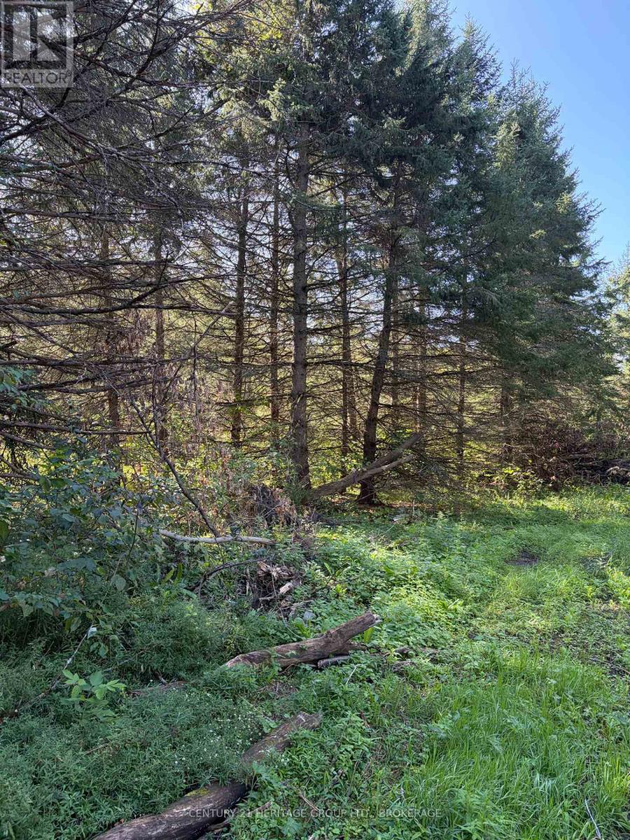 523 Lower Oak Leaf Road, Leeds And The Thousand Islands, Ontario  K0E 1B0 - Photo 12 - X13774506
