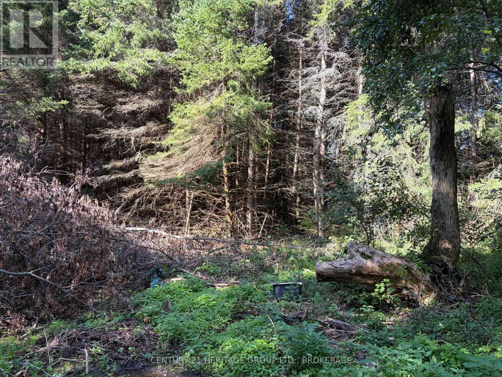 523 Lower Oak Leaf Road, Leeds And The Thousand Islands, Ontario  K0E 1B0 - Photo 14 - X13774506