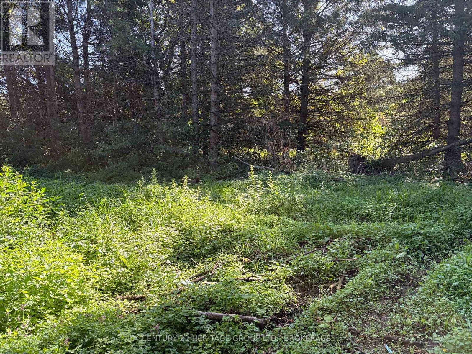 523 Lower Oak Leaf Road, Leeds And The Thousand Islands, Ontario  K0E 1B0 - Photo 16 - X13774506