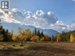 325 East Wilson Creek  E Road, Rosebery, British Columbia  V0G 1S1 - Photo 21 - 10397454