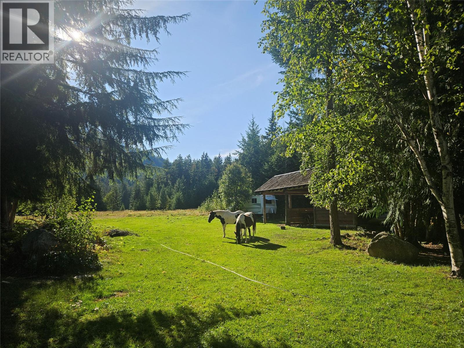 325 East Wilson Creek  E Road, Rosebery, British Columbia  V0G 1S1 - Photo 23 - 10397454