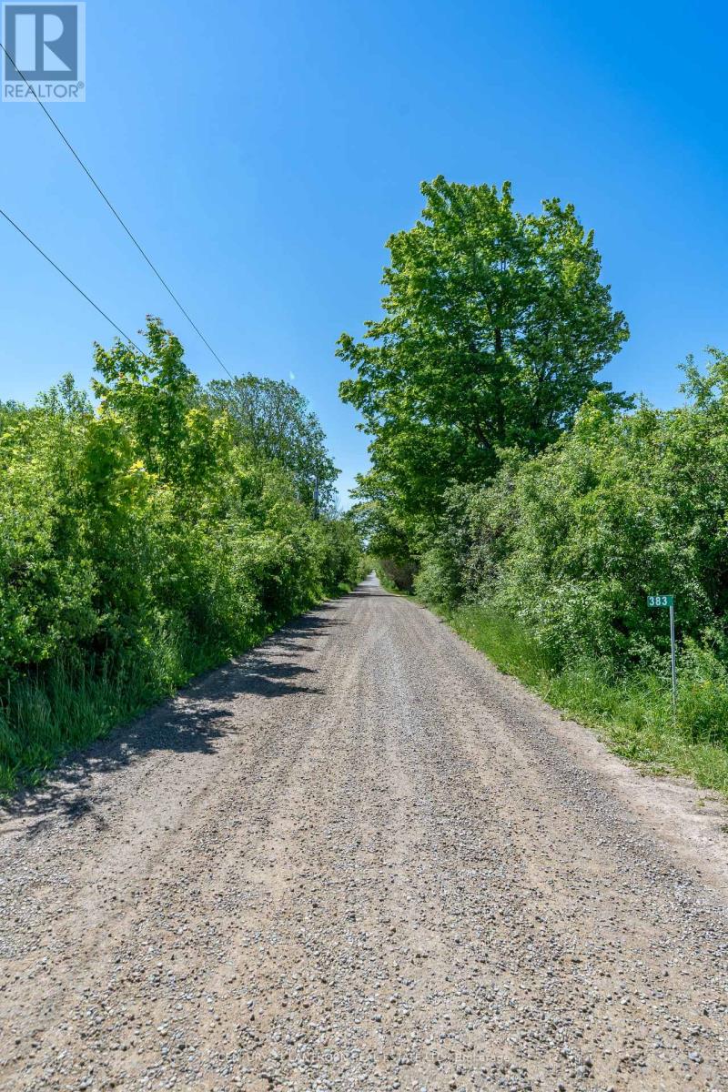 383 Chase Road, Prince Edward County, Ontario  K0K 2J0 - Photo 4 - X13775112