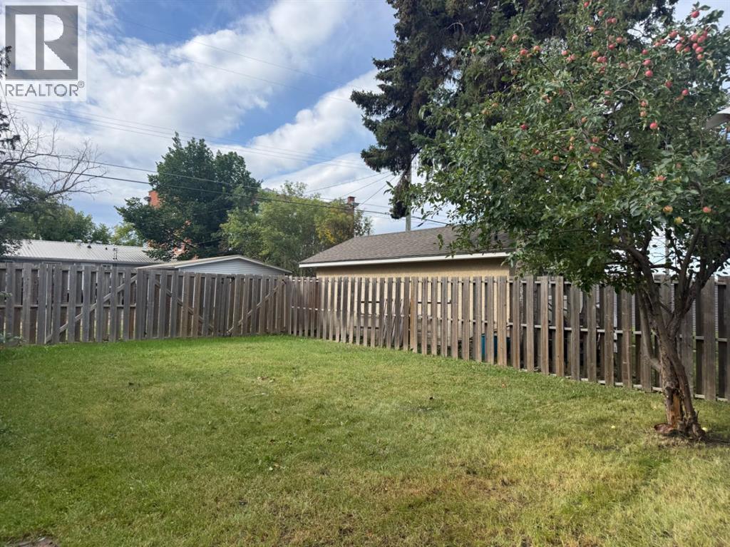 4819 51 Avenue, Vermilion, Alberta  T9X 1T6 - Photo 33 - A2344675