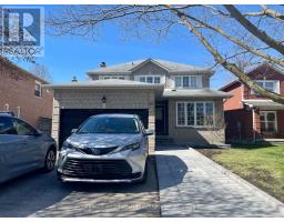 LOWER - 824 COLLEGE MANOR DRIVE, Newmarket, Ontario