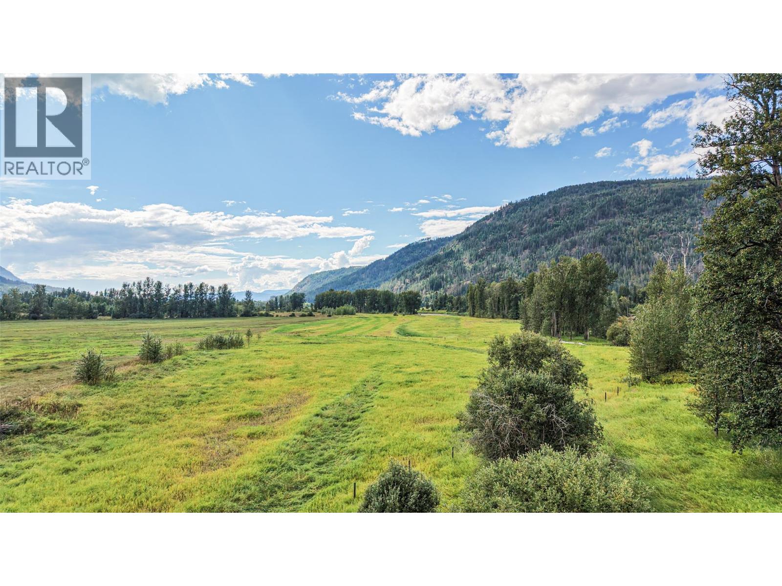 110 Parsons Road, Mara, British Columbia  V0E 2K0 - Photo 19 - 10397887