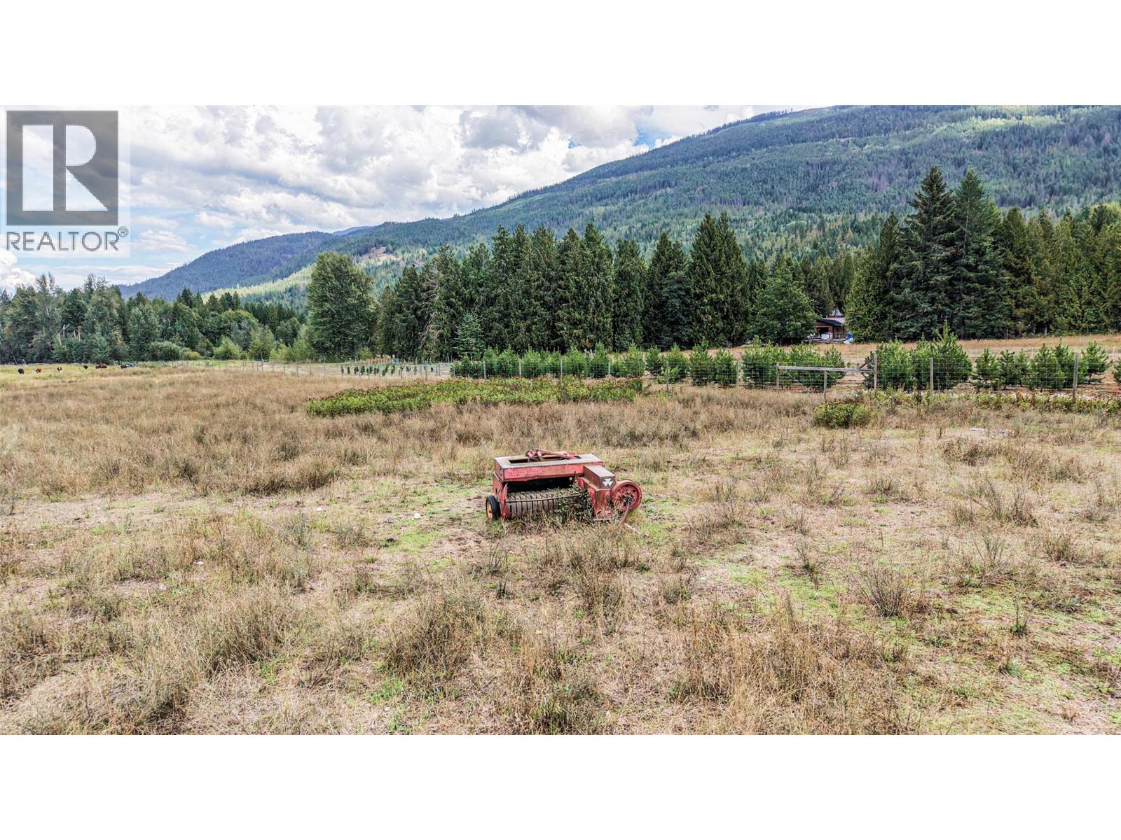 110 Parsons Road, Mara, British Columbia  V0E 2K0 - Photo 30 - 10397887