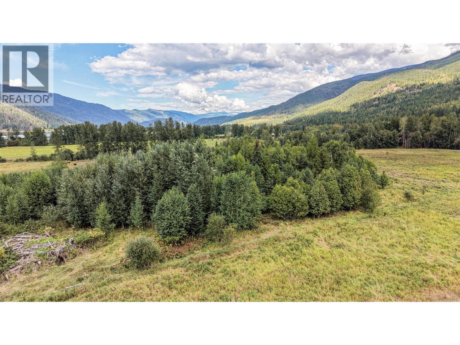 110 Parsons Road, Mara, British Columbia  V0E 2K0 - Photo 11 - 10397887