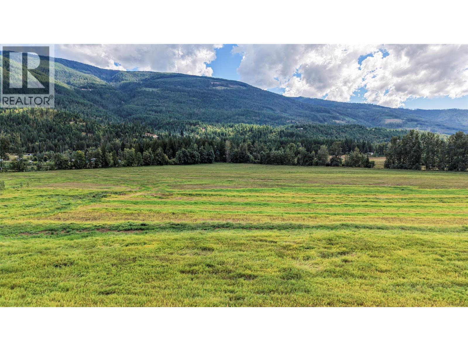 110 Parsons Road, Mara, British Columbia  V0E 2K0 - Photo 48 - 10397887