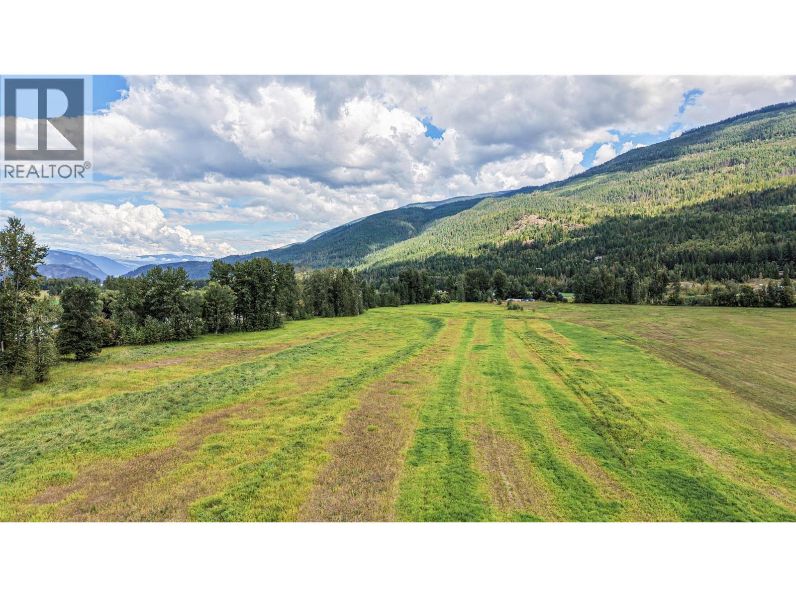 110 Parsons Road, Mara, British Columbia  V0E 2K0 - Photo 46 - 10397887