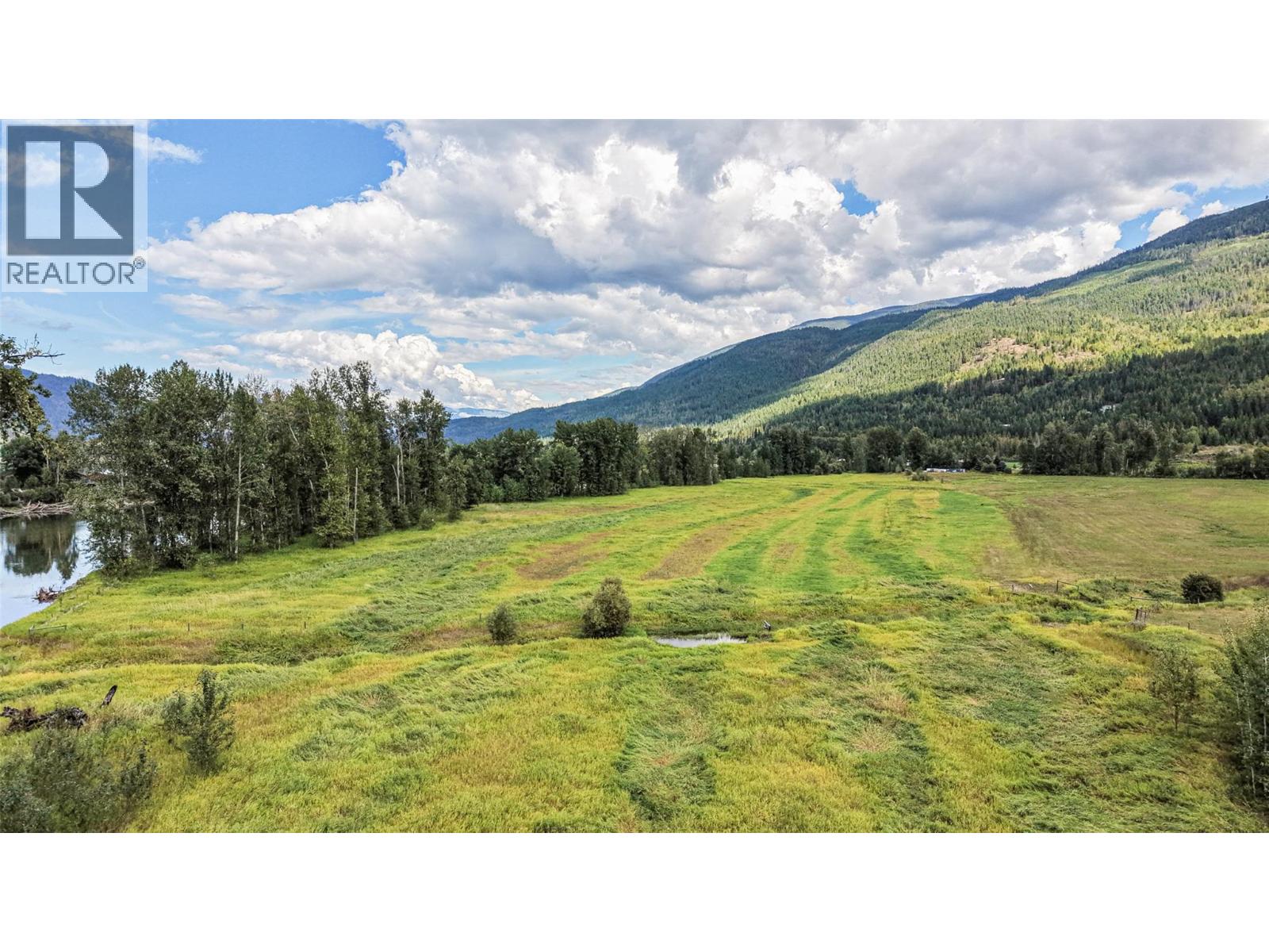 110 Parsons Road, Mara, British Columbia  V0E 2K0 - Photo 45 - 10397887