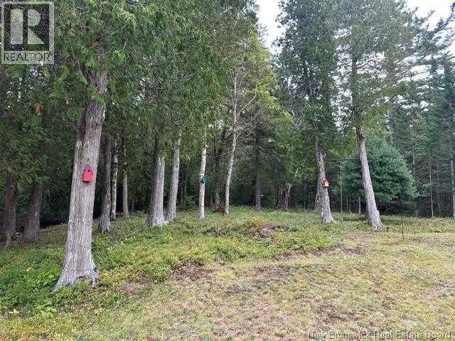 25 Mason Lane, Pennfield, New Brunswick  E5H 2S3 - Photo 25 - NB147722