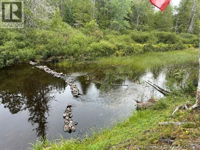 25 Mason Lane, Pennfield, New Brunswick  E5H 2S3 - Photo 9 - NB147722