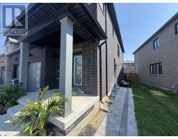 BASEMENT - 39 PETCH AVENUE, Caledon, Ontario