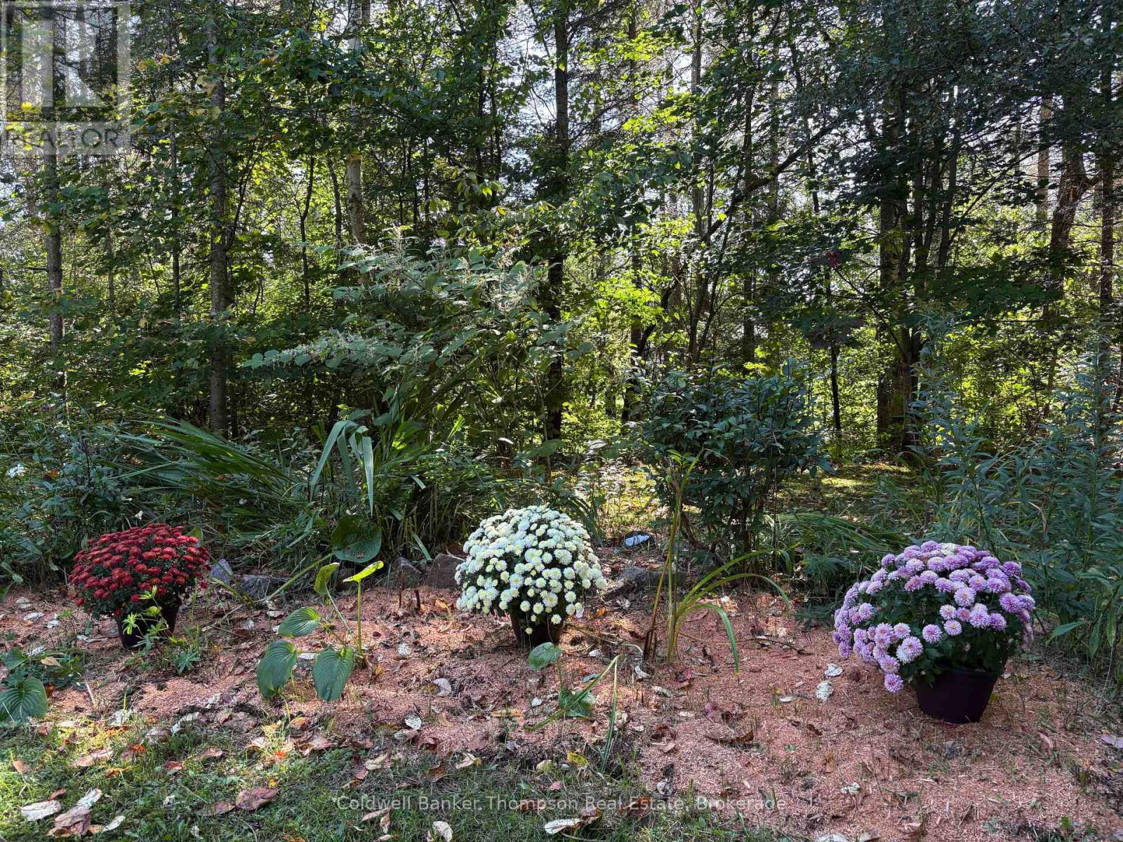 40 Tebby Boulevard, South River, Ontario  P0A 1X0 - Photo 24 - X13775948