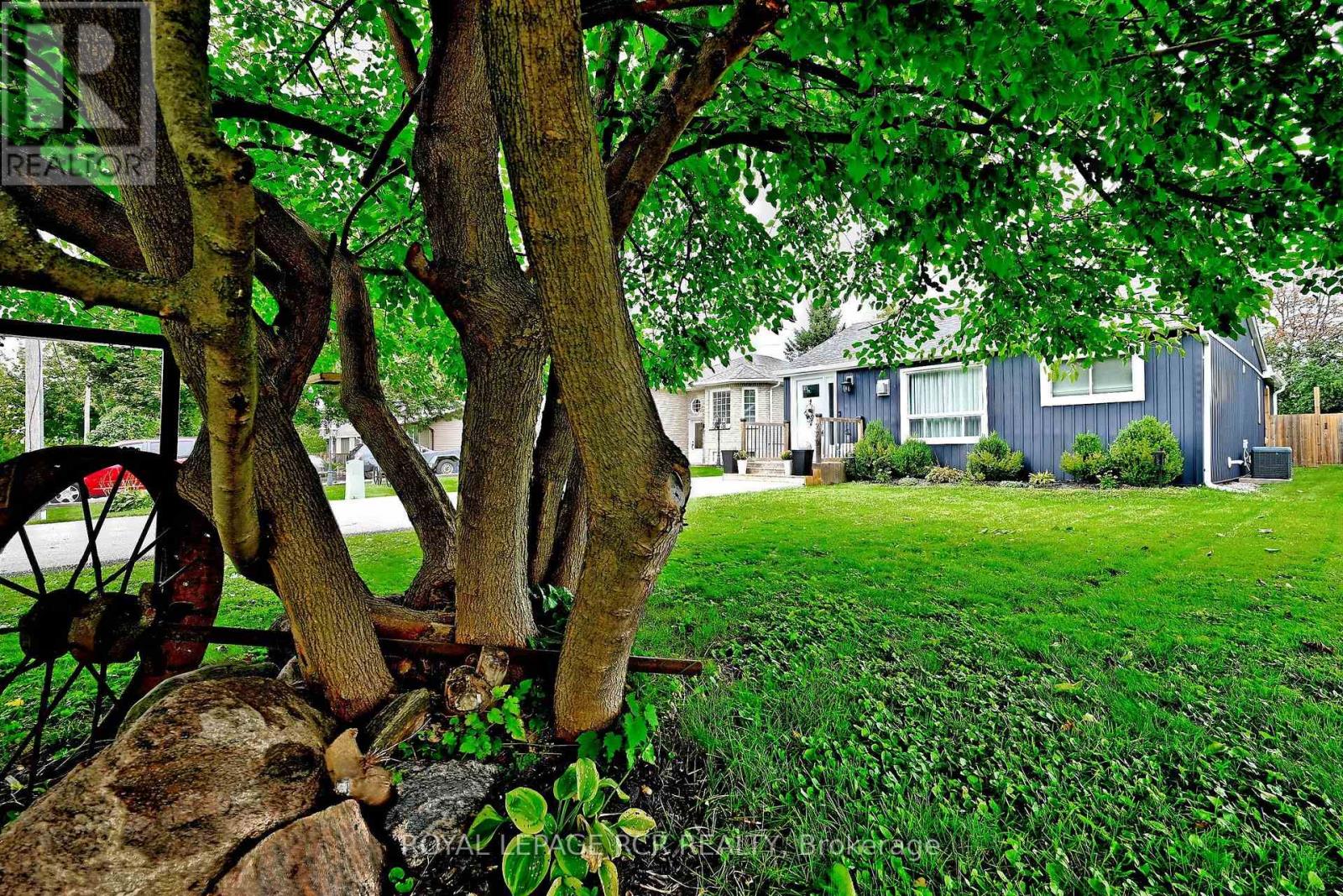 779 Sheppard Avenue, Georgina, Ontario  L4P 3E9 - Photo 3 - N13775982