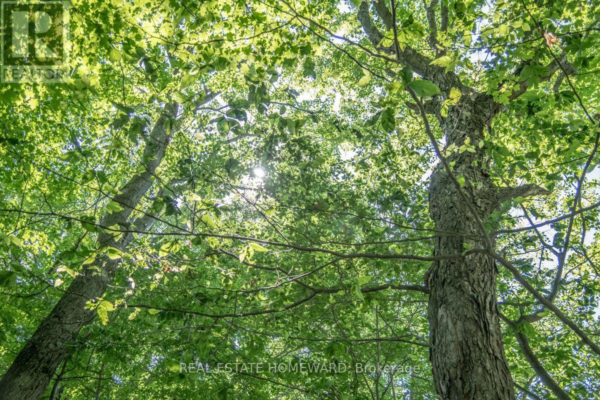 Pt 1 Boyce Road, Alnwick/haldimand, Ontario  K0K 1S0 - Photo 3 - X13546588