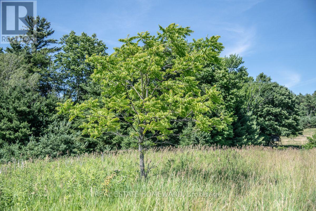 Pt 1 Boyce Road, Alnwick/haldimand, Ontario  K0K 1S0 - Photo 6 - X13546588