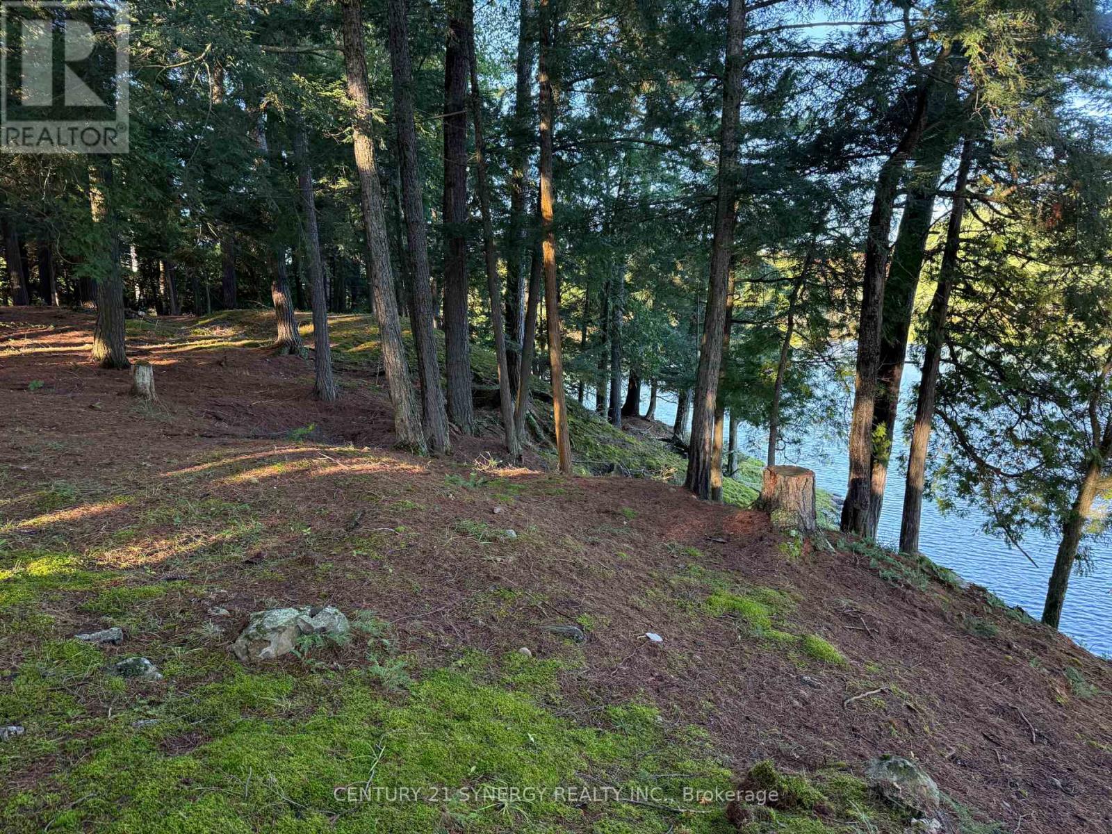 218 Lee Trail Lane, Tay Valley, Ontario  K7H 3C7 - Photo 3 - X13771884