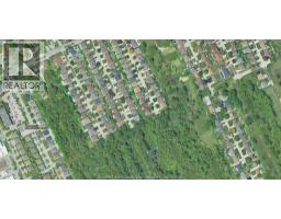 V/L CALIFORNIA, Windsor, Ontario
