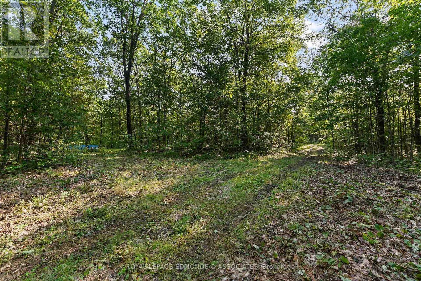 0 Connaught Road, Admaston/bromley, Ontario  K0J 1K0 - Photo 6 - X13776170