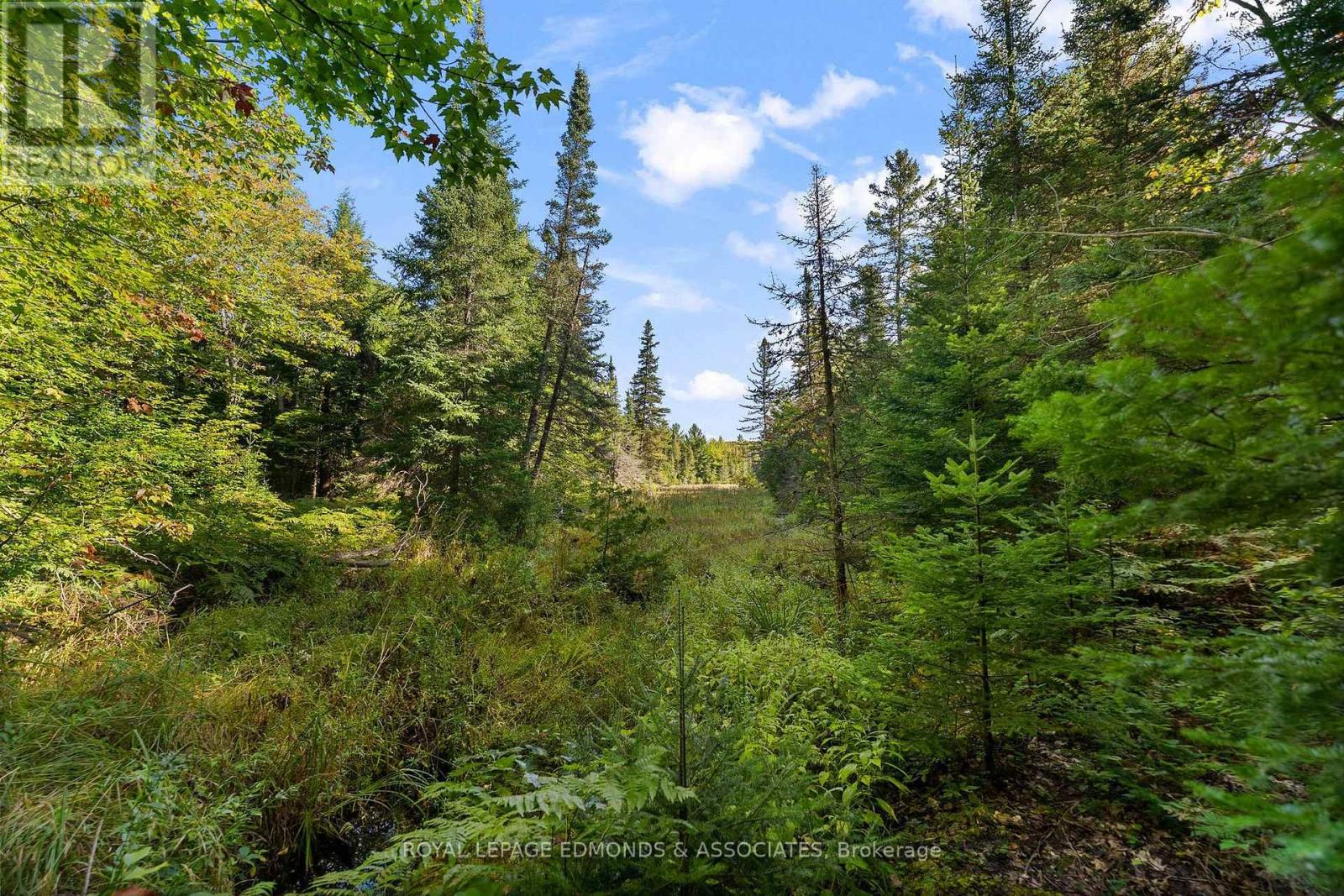 0 Connaught Road, Admaston/bromley, Ontario  K0J 1K0 - Photo 7 - X13776170