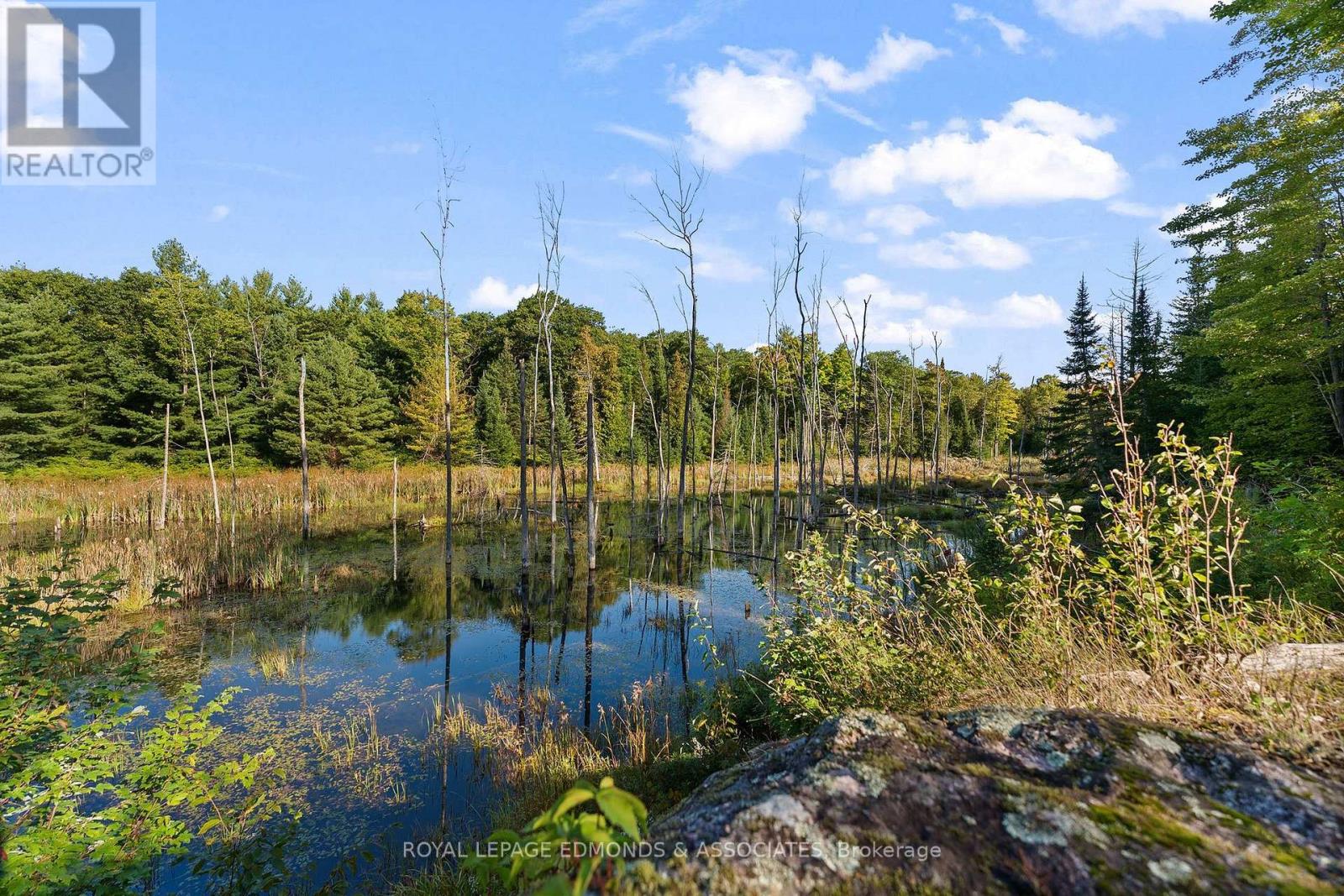 0 Connaught Road, Admaston/bromley, Ontario  K0J 1K0 - Photo 8 - X13776170