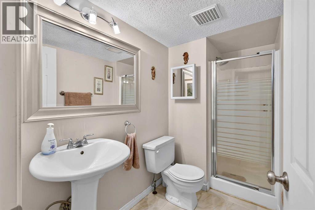 12 Brentwood Drive E, Strathmore, Alberta  T1P 1G1 - Photo 32 - A2343658