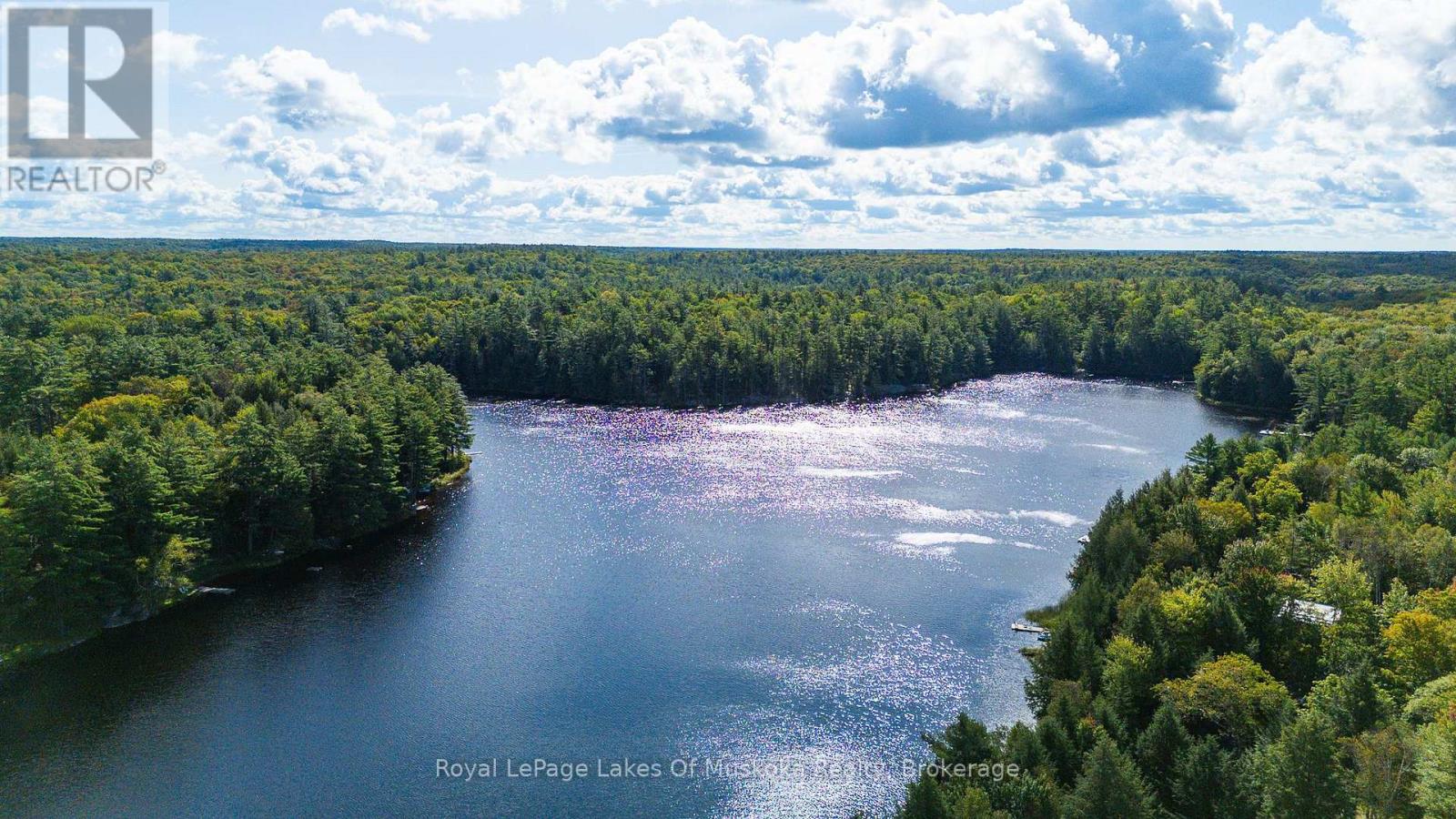 1053 Atkins Lake Road, Bracebridge, Ontario  P1L 1W9 - Photo 22 - X13776234