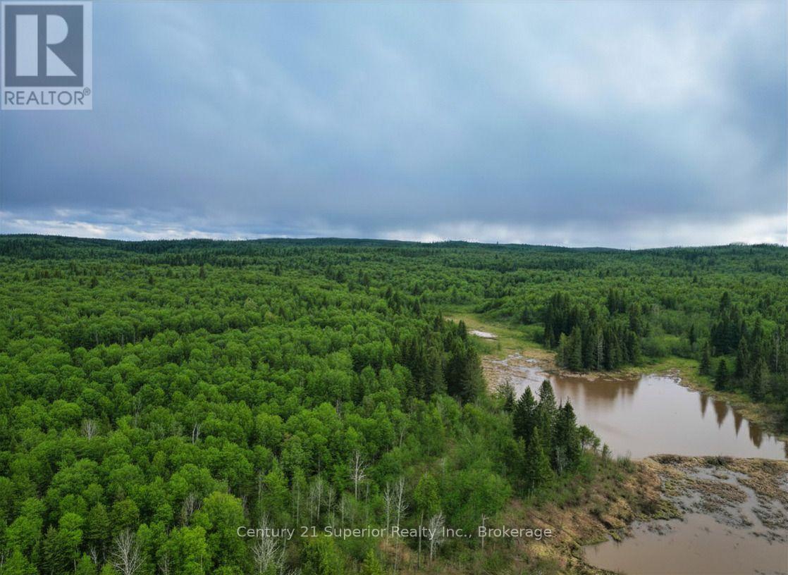N 1/2 L 10 Centre Road, Thunder Bay Remote Area, Ontario  P0T 1X0 - Photo 15 - X13244858