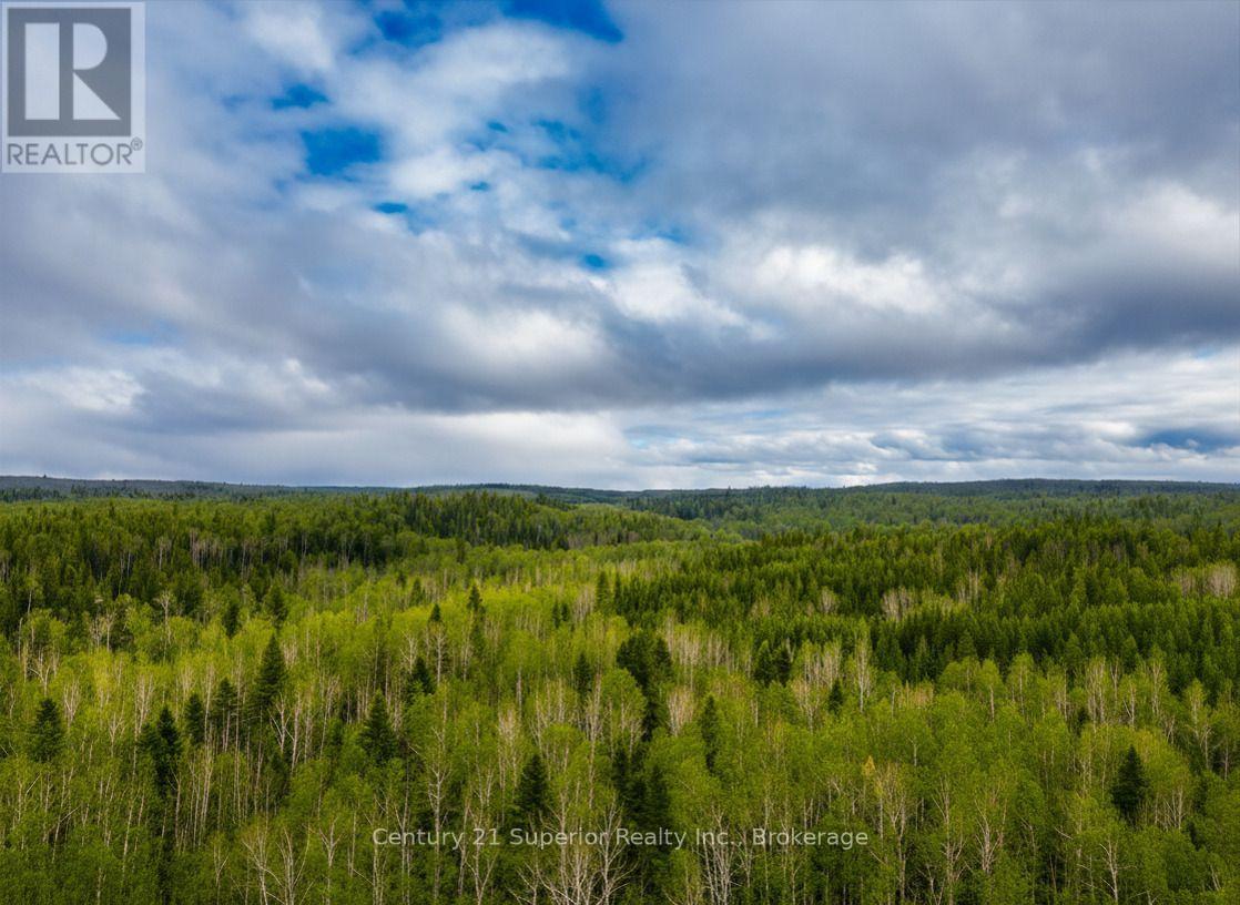 N 1/2 L 10 Centre Road, Thunder Bay Remote Area, Ontario  P0T 1X0 - Photo 11 - X13244858