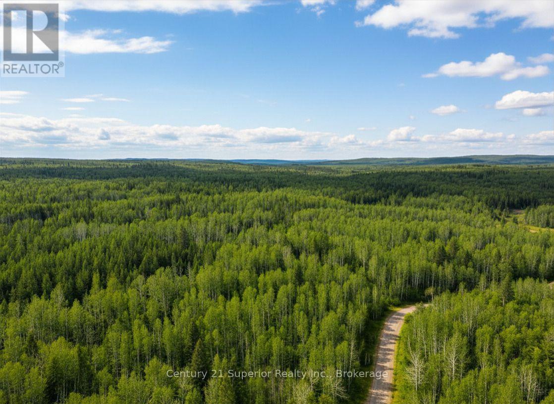 N 1/2 L 10 Centre Road, Thunder Bay Remote Area, Ontario  P0T 1X0 - Photo 17 - X13244858