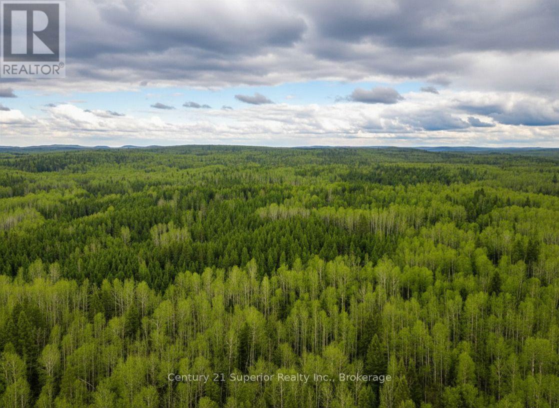 N 1/2 L 10 Centre Road, Thunder Bay Remote Area, Ontario  P0T 1X0 - Photo 14 - X13244858